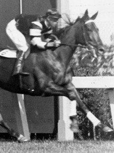 891383-phar-lap.jpg