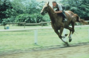 phar-lap-movie-poster-1020282713.jpg